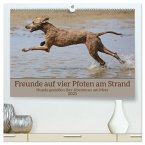 Freunde auf vier Pfoten am Strand (hochwertiger Premium Wandkalender 2025 DIN A2 quer), Kunstdruck in Hochglanz