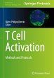 T Cell Activation - Bild 1
