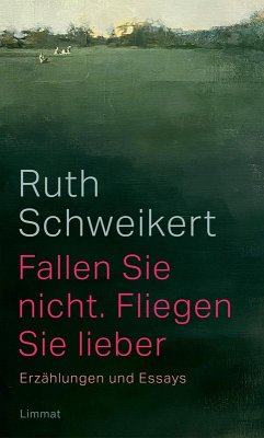 Cover Fallen Sie nicht. Fliegen Sie lieber