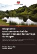 Diagnostic environnemental du bassin... - Bild 1