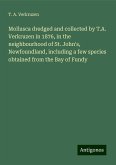 Mollusca dredged and collected by T.A. Verkruzen in 1876, in the neighbourhood of St. John's, Newfoundland, including a few species obtained from the Bay of Fundy