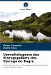 Umweltdiagnose des Einzugsgebiets des... - Bild 1