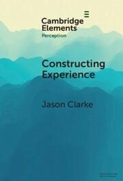 Constructing Experience - Clarke, Jason