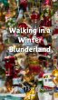 Walking in a Winter Blunderland - Bild 1