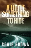 A Little Something To Hide