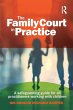 The Family Court in Practice - Bild 1