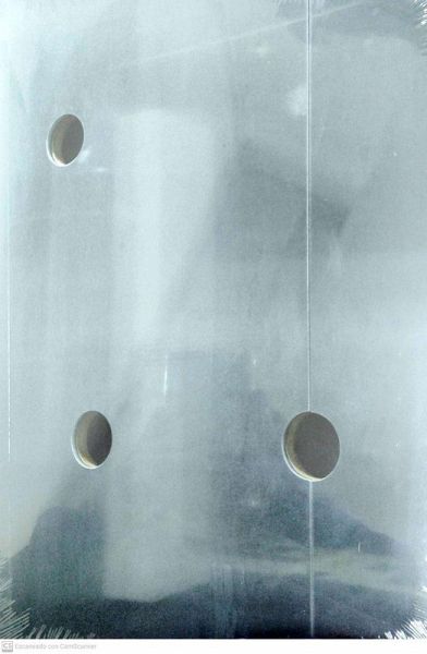 Animales que aguantan el peso de cargas misteriosas en entornos creados por fuer-zas en oposición Animales que aguantan el peso de cargas misteriosas en entornos creados por fuer-zas en oposición