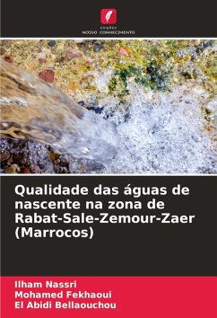 Cover Qualidade das águas de nascente na zona de Rabat-Sale-Zemour-Zaer (Marrocos)
