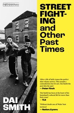 Cover Street Fighting and Other Past Times