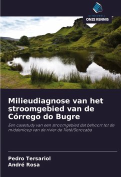 Milieudiagnose van het stroomgebied van de Córrego do Bugre - Tersariol, Pedro;Rosa, André