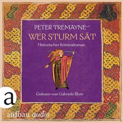 Cover Wer Sturm sät - Historischer Kriminalroman (MP3-Download)
