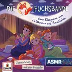 Klangreise: Übernachtung auf dem Heuboden (ASMR) (MP3-Download)