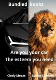 Bundled Books: Are You Your Car?   The Esteem You Need