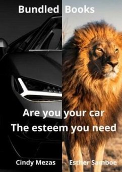 Cover Bundled Books: Are You Your Car?   The Esteem You Need