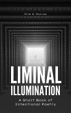 Liminal Illumination (eBook, ePUB)