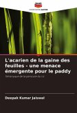 L'acarien de la gaine des feuilles - une menace émergente pour le paddy L'acarien de la gaine des feuilles - une menace émergente pour le paddy