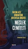 Sultan Aziz Döneminde Bir Ihtilal Örgütü Meslek Cemiyeti Sultan Aziz Döneminde Bir Ihtilal Örgütü Meslek Cemiyeti