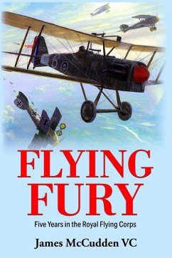 Cover Flying Fury