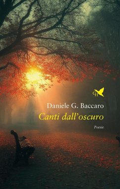 Canti dall'oscuro (eBook, ePUB) - Baccaro, Daniele G.