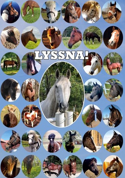 Lyssna! (eBook, ePUB)