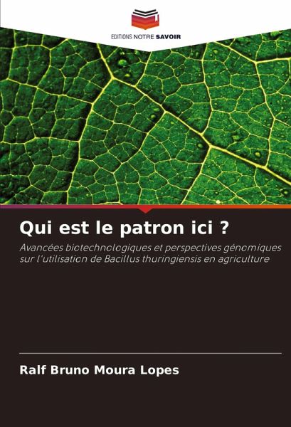 Qui est le patron ici ? Qui est le patron ici ?
