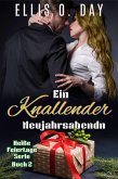 Ein knallender Neujahrsabend (Heiße Feiertage Serie, #2) (eBook, ePUB) Ein knallender Neujahrsabend (Heiße Feiertage Serie, #2) (eBook, ePUB)