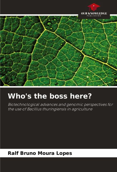 Who's the boss here?