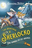 Una sombra en los abismos Una sombra en los abismos