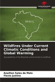 Wildfires Under Current Climatic Conditions and Global Warming