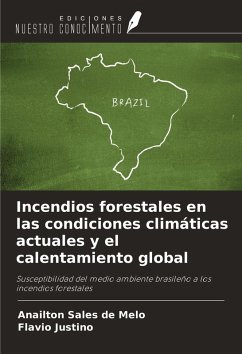 Cover Incendios forestales en las condiciones climáticas actuales y el calentamiento global