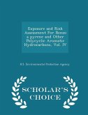 Exposure and Risk Assessment for Benzo a Pyrene and Other Polycyclic Aromatic Hydrocarbons, Vol. IV - Scholar's Choice Edition Exposure and Risk Assessment for Benzo a Pyrene and Other Polycyclic Aromatic Hydrocarbons, Vol. IV - Scholar's Choice Edition