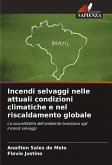 Incendi selvaggi nelle attuali condizioni climatiche e nel riscaldamento globale Incendi selvaggi nelle attuali condizioni climatiche e nel riscaldamento globale