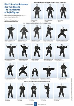 Cover Die 15 Ausdrucksformen des Taiji Qigong Poster