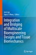 Integration and Bridging of Multiscale... - Bild 1
