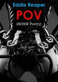 POV (eBook, ePUB)