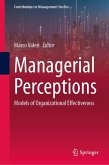 Managerial Perceptions (eBook, PDF)