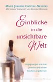 Einblicke in die unsichtbare Welt (eBook, ePUB) Einblicke in die unsichtbare Welt (eBook, ePUB)