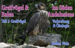 Cover Greifvögel und Eulen im Süden Andalusiens Teil 2 Greifvögel (eBook, ePUB)