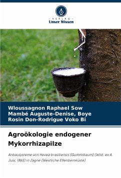 Agroökologie endogener Mykorrhizapilze - SOW, Wloussagnon Raphael;Boye, Mambé Auguste-Denise,;VOKO BI, Rosin Don-Rodrigue