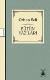 Sabahattin Ali - Bütün Siirleri