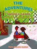 The Adventures of Snook & Gator The Adventures of Snook & Gator
