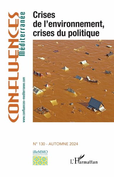 Crises de l'environnement, crises du politique