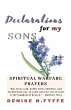 Declarations for My Sons - Bild 1