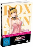 Harem in the Labyrinth of Another World Vol 2