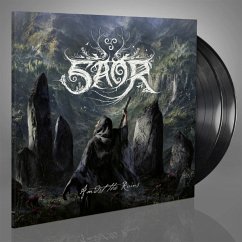 Cover Amidst The Ruins (Black Vinyl)