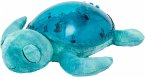 Cloudb Nachtlicht Tranquil Turtle Einschlafhilfe Schildkröte Aqua (wiederaufl Cloudb Nachtlicht Tranquil Turtle Einschlafhilfe Schildkröte Aqua (wiederaufl