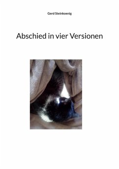 Abschied in vier Versionen - Steinkoenig, Gerd