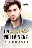 Un segreto nella neve (eBook, ePUB)