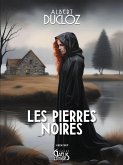 Les pierres noires (eBook, ePUB)
