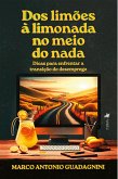 Dos limões à Limonada no meio do Nada (eBook, ePUB)